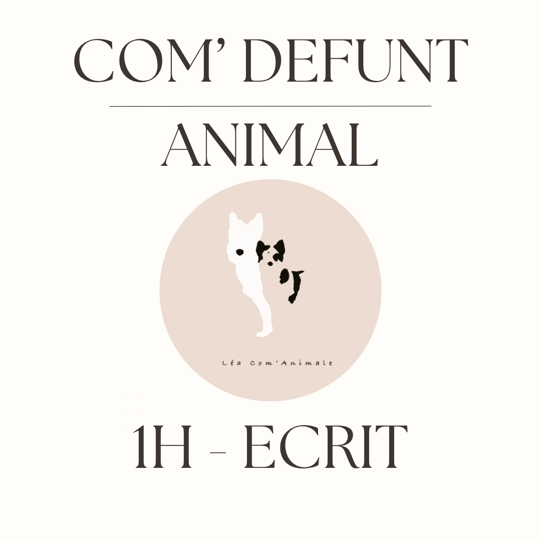 Communication en direct 1h