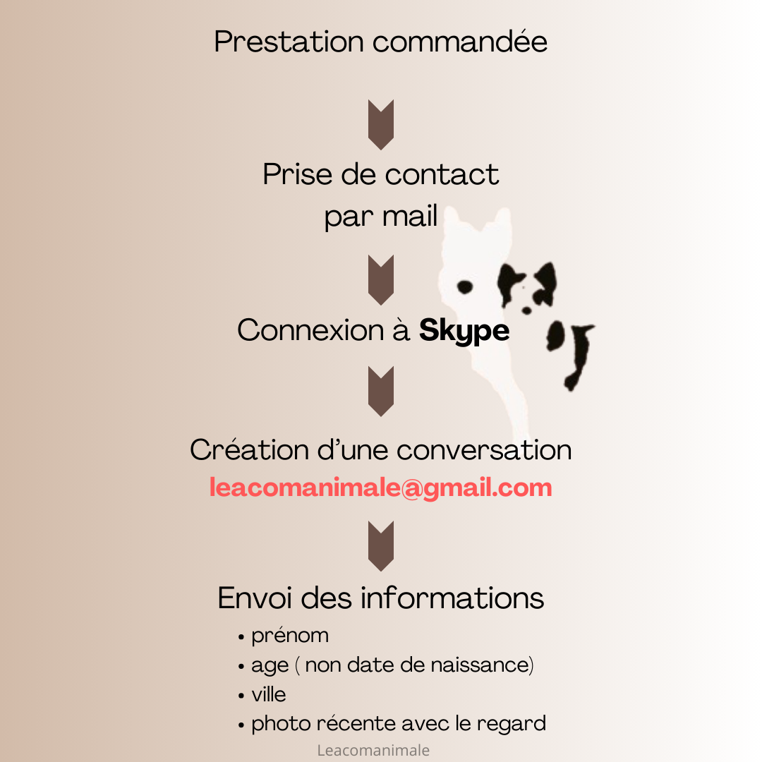 Communication en direct 30mn