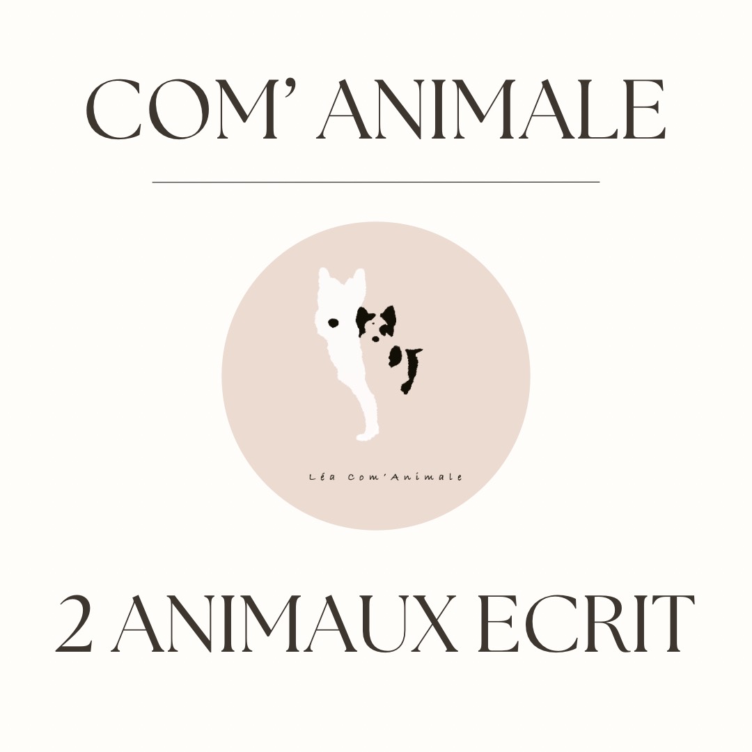 Communication 2 animaux par écrit 1h