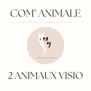 Communication 2 animaux en visio 1h