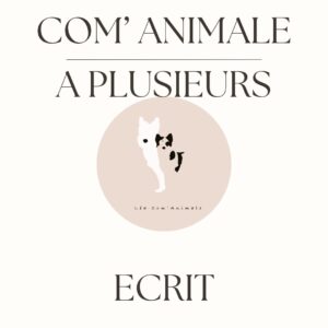 Communication 2 animaux en visio 1h