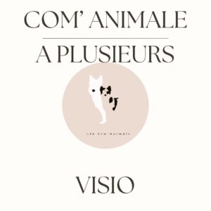 Communication 2 animaux en visio 1h