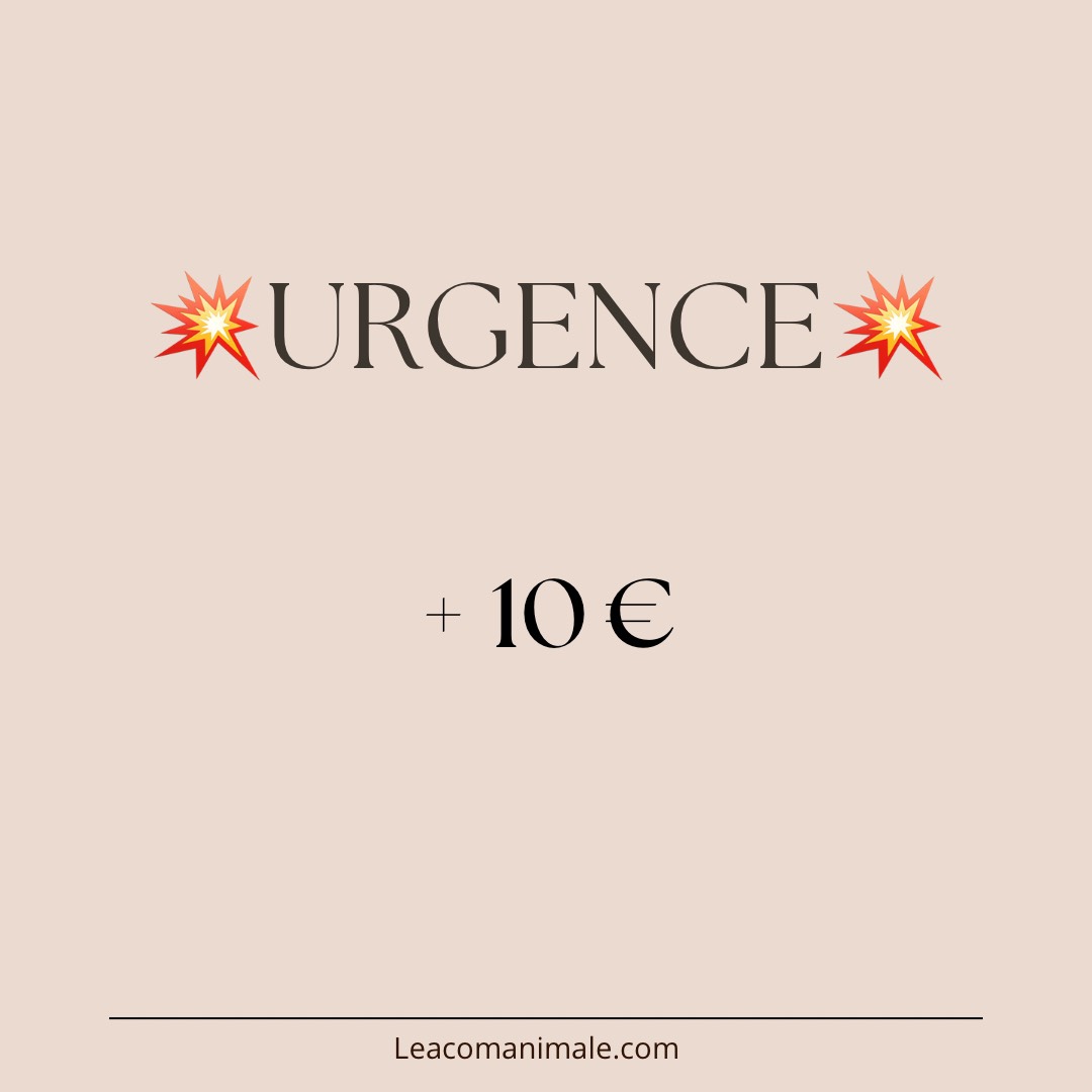 Prestations - 21 Communication en direct 1h
