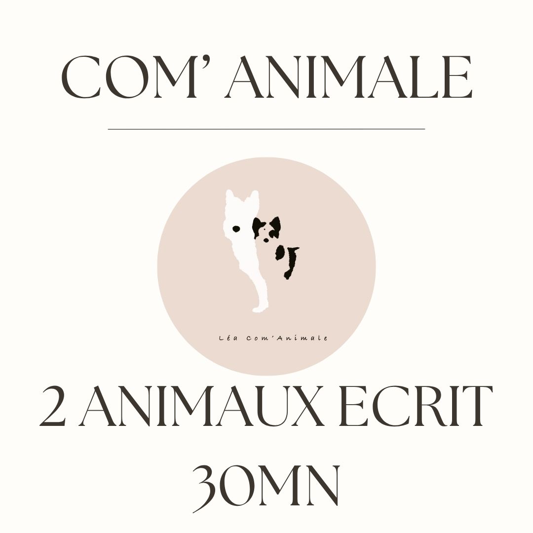 Communication animale 2 animaux 30mn écrit