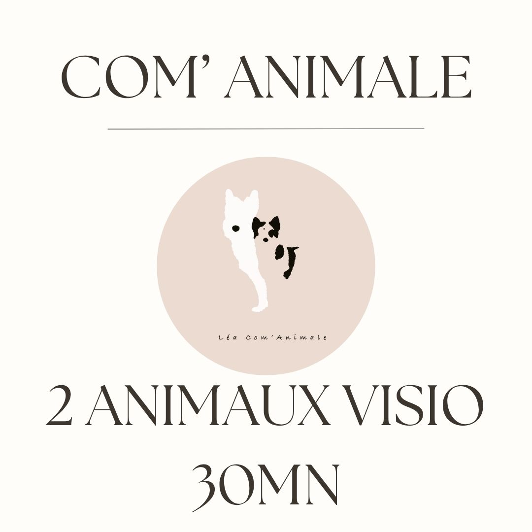 Communication animale 2 animaux 30mn visio