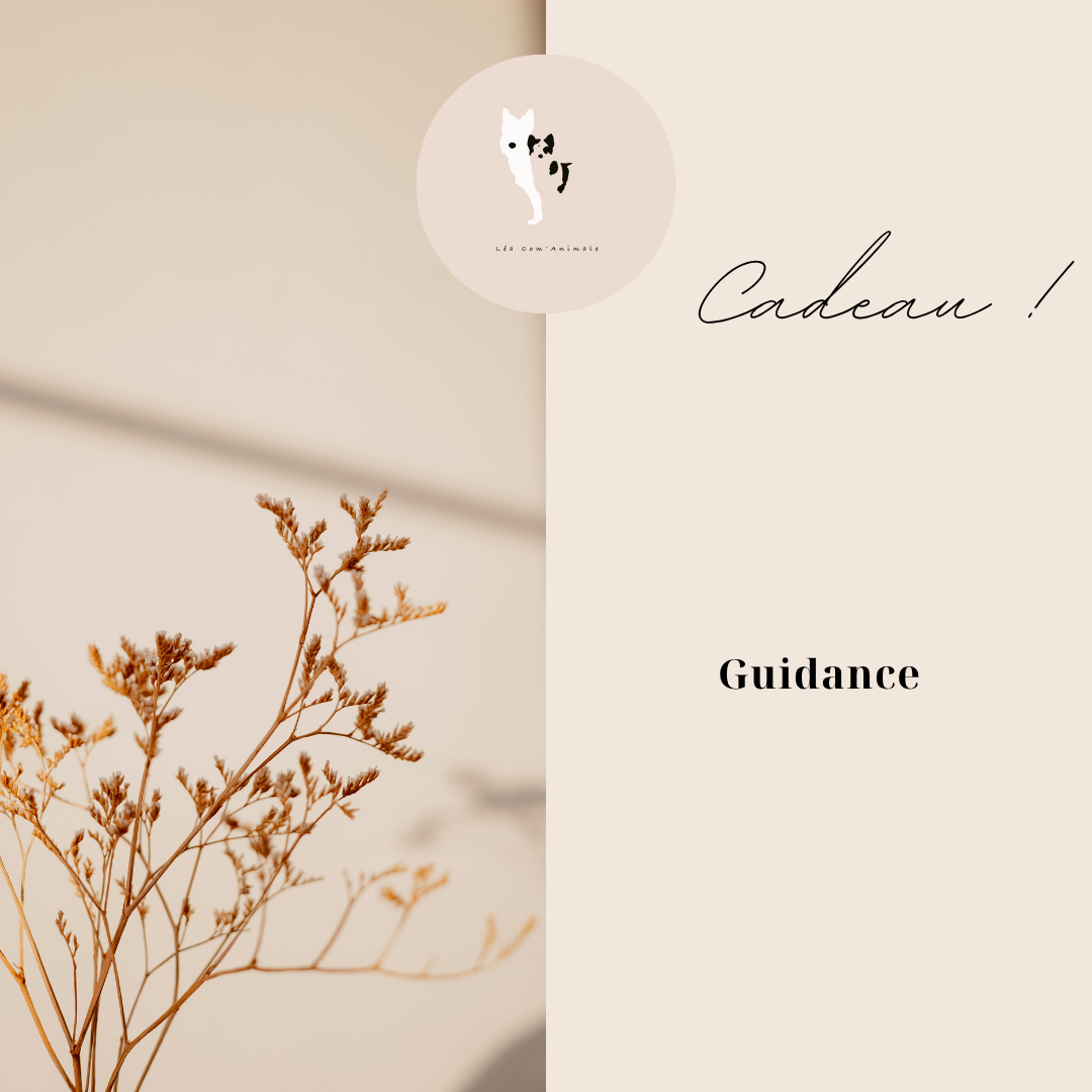Carte cadeau Guidance