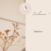 Carte cadeau Guidance