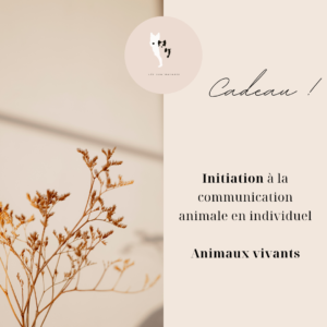 Carte cadeau Initiation à la communication animale