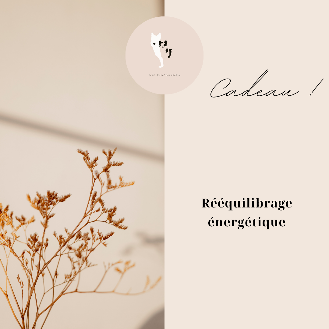 Carte cadeau Rééquilibrage énergétique